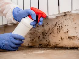 Mold Remediation for Vacation Homes in Ridgely, MD